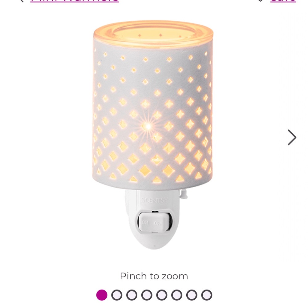 Scentsy wax melt plug in